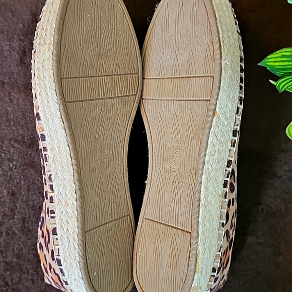 Flat Shoes - Picture 12 of 16